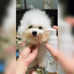 No-Rinse Pet Cleaning Mousse for Cats & Dogs | With Free Microfiber Towel